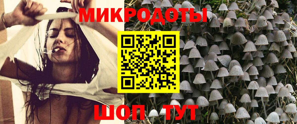 Псилоцибиновые грибы Psilocybe Солнечногорск